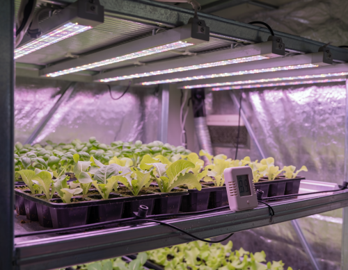 Horticulture Lighting